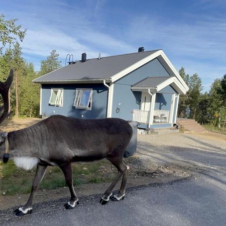 Sinitalo Villa Inari Kültér fotó